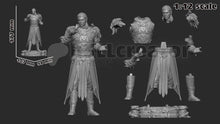 Load image into Gallery viewer, Figurine Baldur's Gate, figurine Halsin, Shadowheart figurine, figurine Baldur's Gate, figurine à peindre