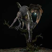 Load image into Gallery viewer, Matinta Pereira