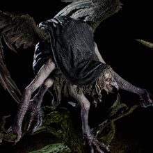 Load image into Gallery viewer, Matinta Pereira