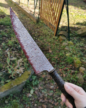 Charger l'image dans la galerie, Daëlys Art, alice au pays des merveilles, alice retour au pays de la folie, alice madness returns, alice in wonderland, lame vorpaline, lewis carroll, disney