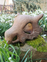 Load image into Gallery viewer, Pokémon, Pokemon skull, crâne pokémon, osselait, crâne osselait, cubone, cubone skull, Cabinet de curiosités, goth, pokemon decoration, Daëlys Art