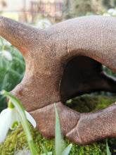 Load image into Gallery viewer, Pokémon, Pokemon skull, crâne pokémon, osselait, crâne osselait, cubone, cubone skull, Cabinet de curiosités, goth, pokemon decoration, Daëlys Art