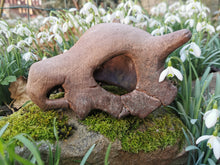 Load image into Gallery viewer, Pokémon, Pokemon skull, crâne pokémon, osselait, crâne osselait, cubone, cubone skull, Cabinet de curiosités, goth, pokemon decoration, Daëlys Art