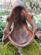 Load image into Gallery viewer, Pokémon, Pokemon skull, crâne pokémon, osselait, crâne osselait, cubone, cubone skull, Cabinet de curiosités, goth, pokemon decoration, Daëlys Art