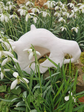 Load image into Gallery viewer, Pokémon, Pokemon skull, crâne pokémon, osselait, crâne osselait, cubone, cubone skull, Cabinet de curiosités, goth, pokemon decoration, Daëlys Art