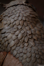 Figurine with or without paint - Scratchy and Owl Bear - Baldur's Gate 3