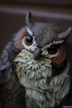 Figurine with or without paint - Scratchy and Owl Bear - Baldur's Gate 3