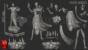 baldur's gate, figurine à peindre, figurine baldur's gate, figurine Flétriss, Wither Baldur's Gate