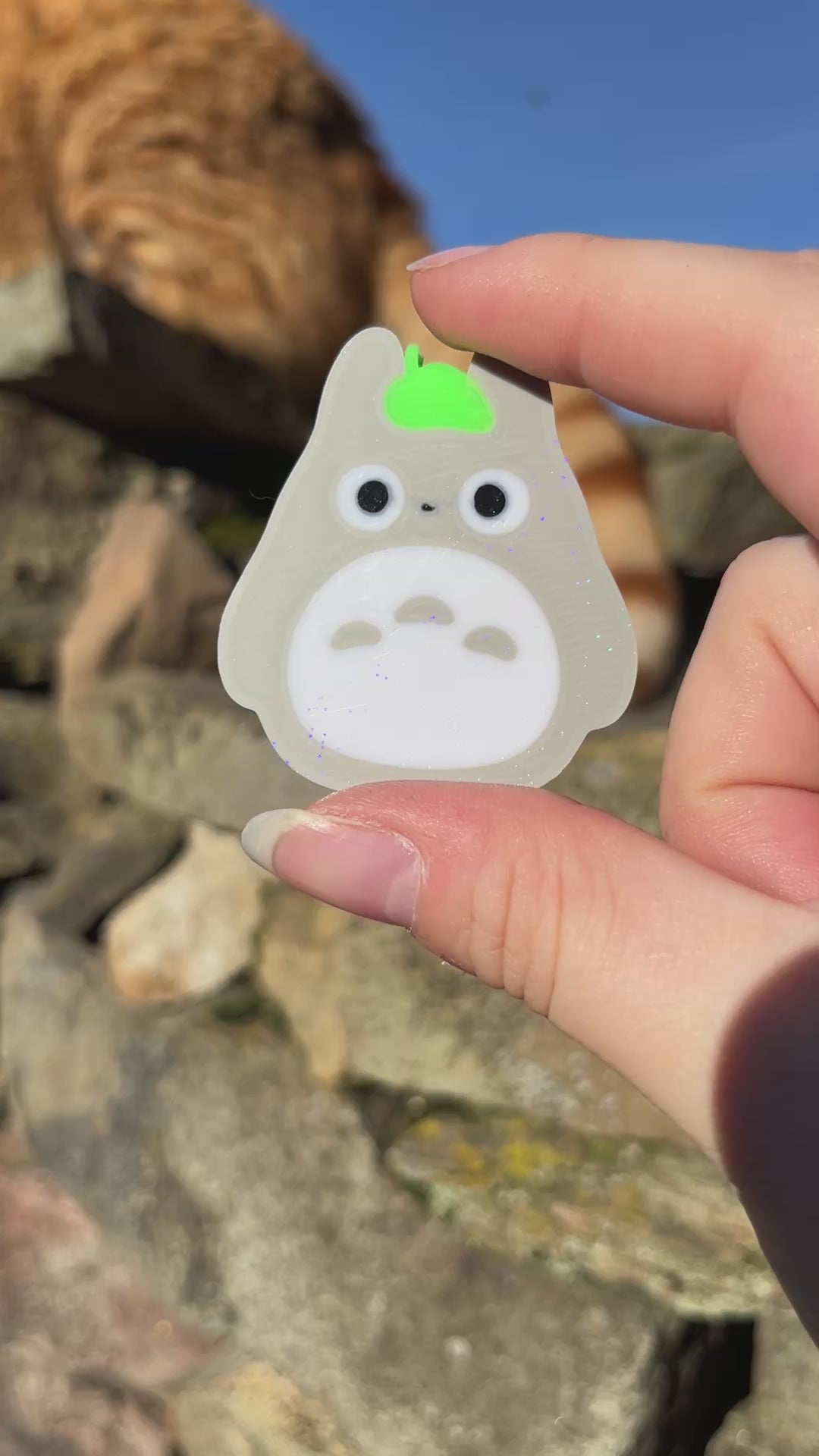 Pin’s & Magnet - Totoro