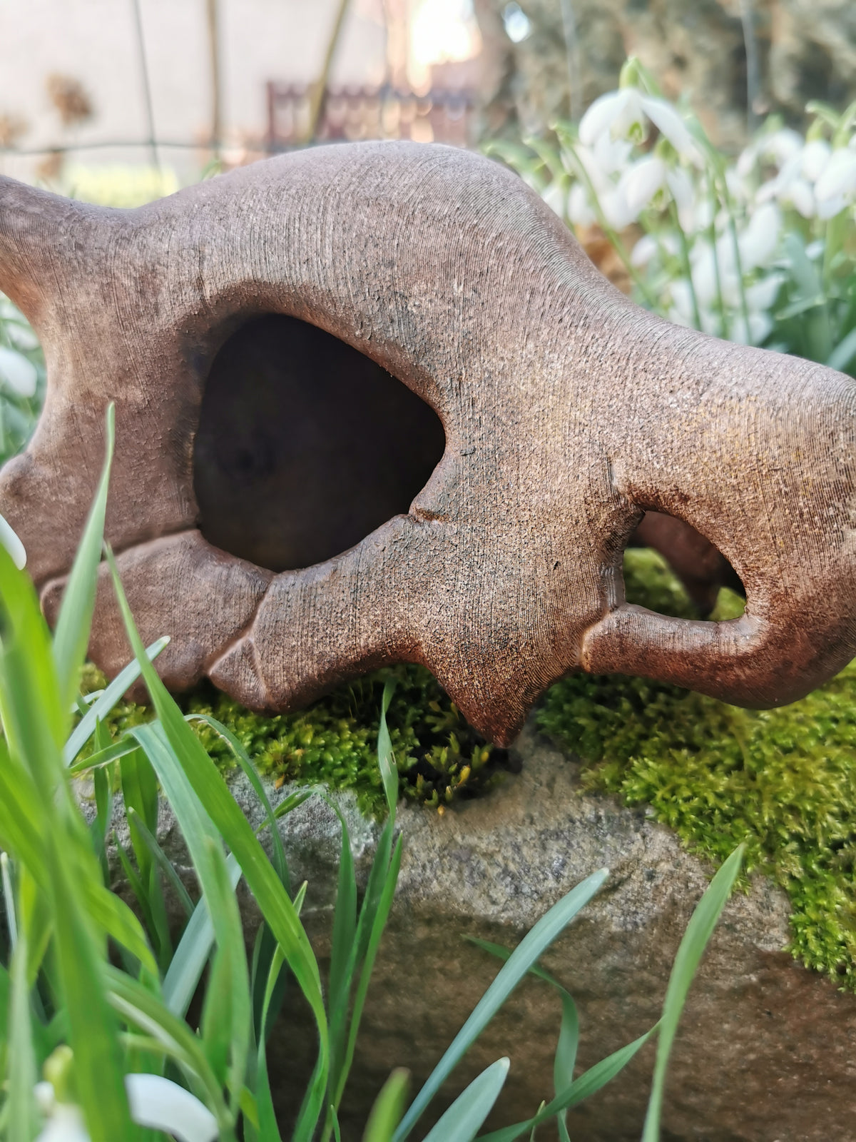 Pokémon, Pokemon skull, crâne pokémon, osselait, crâne osselait, cubone, cubone skull, Cabinet de curiosités, goth, pokemon decoration, Daëlys Art
