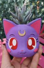 Charger l&#39;image dans la galerie, Sailor moon pot de fleur, Luna Sailor Moon, Sailor Moon pot planter, Artémis, Manga, Daëlys Art
